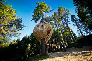 Illustration for article titled These Are The Most Amazing Tree Houses Ever